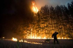 Охрана леса: актуальные проблемы и решения